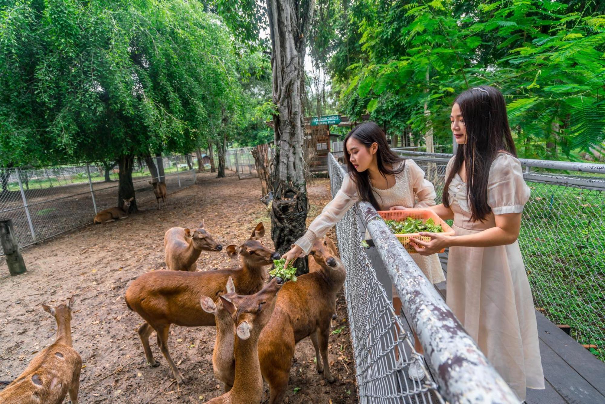 Horizon Village & Resort Doi Saket Екстер'єр фото