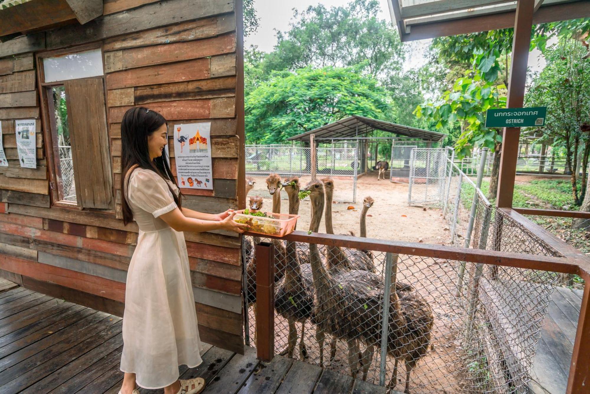 Horizon Village & Resort Doi Saket Екстер'єр фото